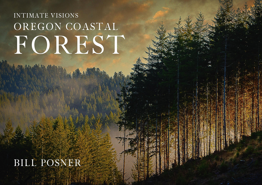 Intimate Visions- Oregon Coastal Forest